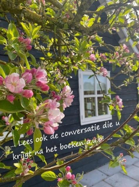Villa 'T Schouws Uusje Burgh-Haamstede Exterior foto